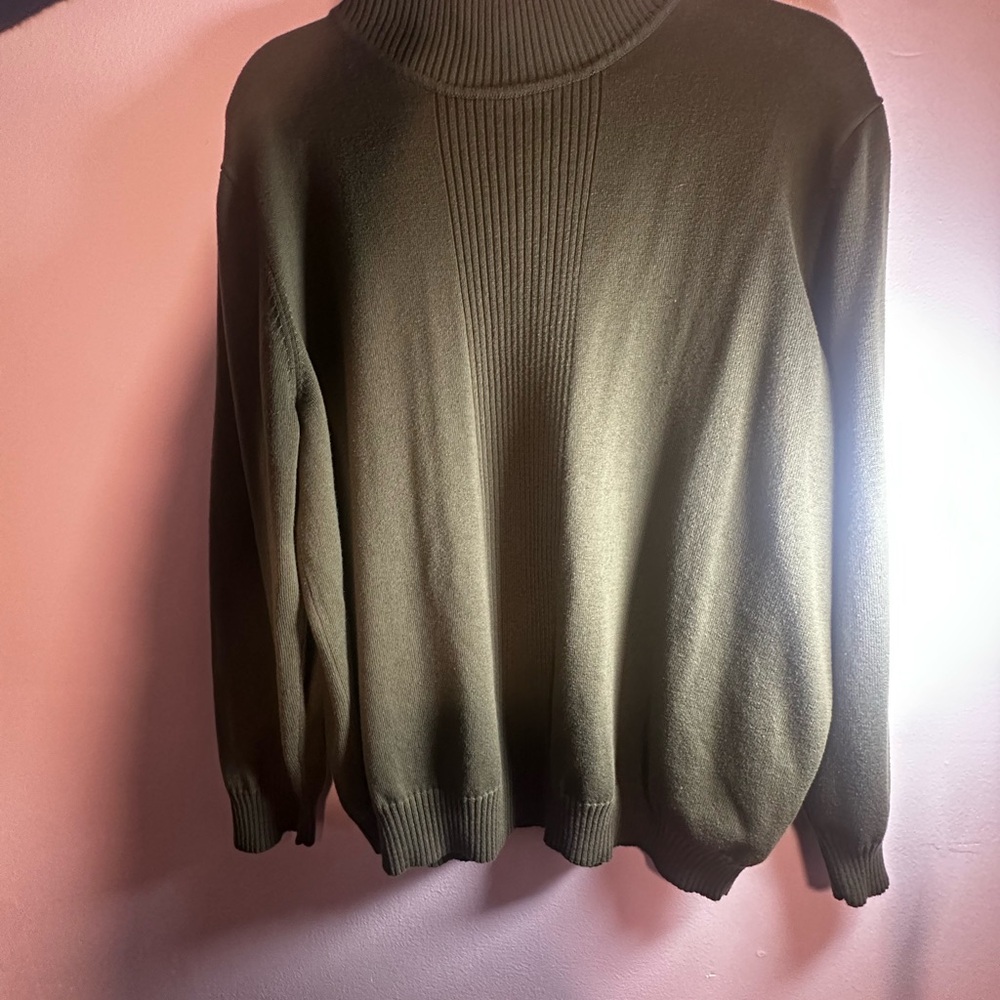 Dressbarn Forest Green Ribbed Turtleneck